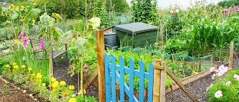 CHAPELHALL ALLOTMENT OPEN DAY